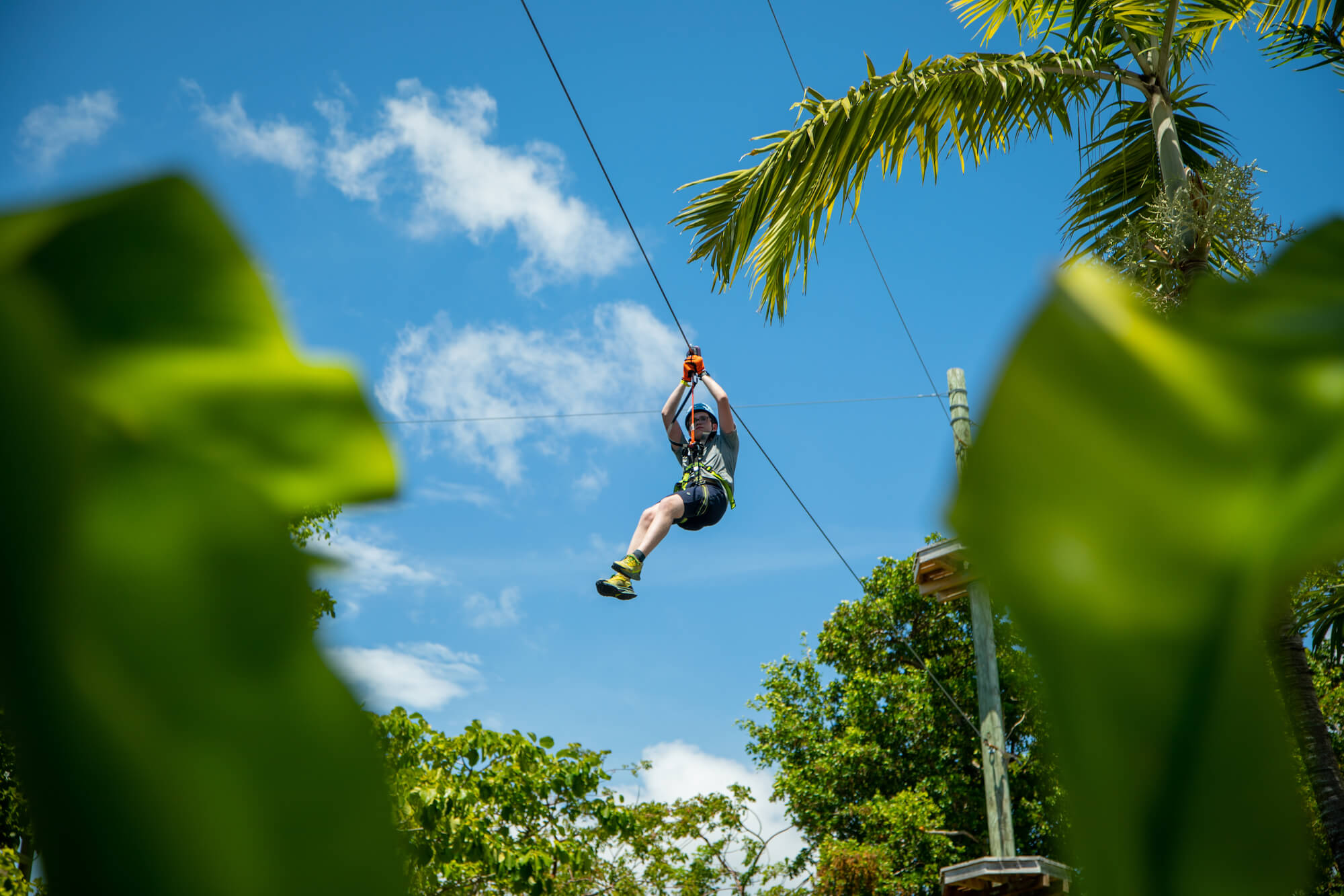South Florida’s First and Only Aerial Zipline Park Now Open at Jungle